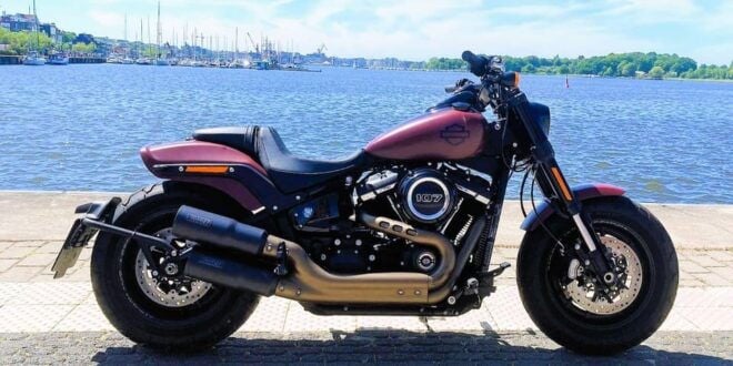 Rostock: Harley-Davidson Softail Fat Bob 107 Rental - Participant Eligibility Requirements