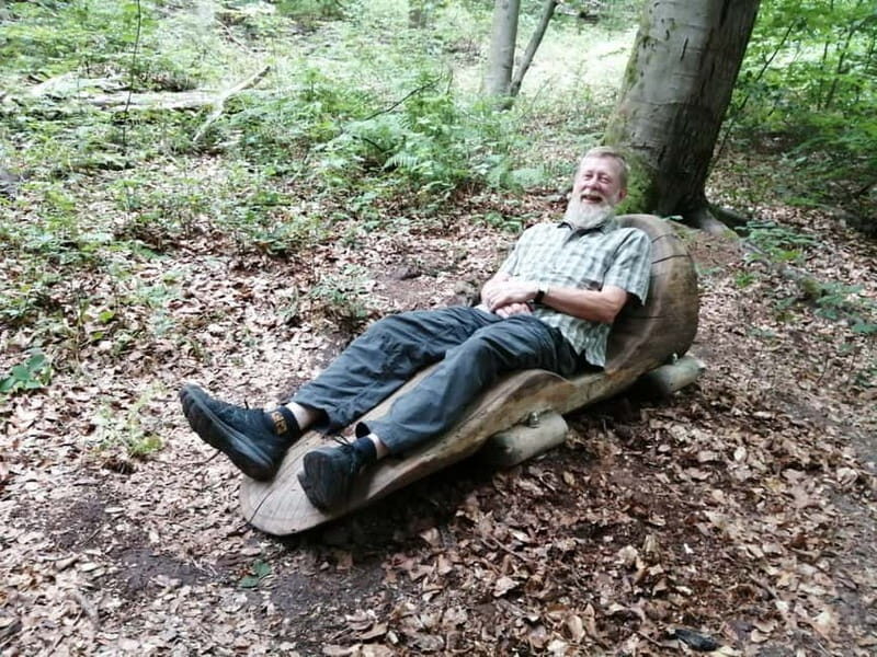 Rotenburg an der Fulda: Forest bathing with a certified guide - The Experience in Detail