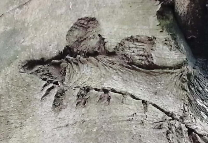 Rotenburg an der Fulda: Highwalk for the fearful - Good To Know