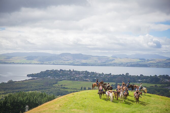 Rotorua 1-Hour Horseback Wilderness Tour - Tour Highlights and Itinerary