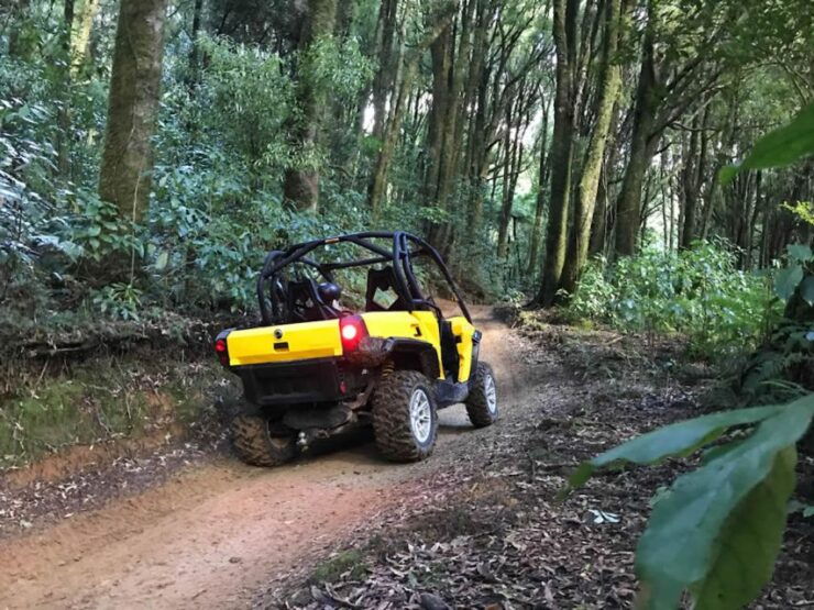 Rotorua: 44 Self Drive Buggy Tour Through Farm and Bushland - Experience Highlights