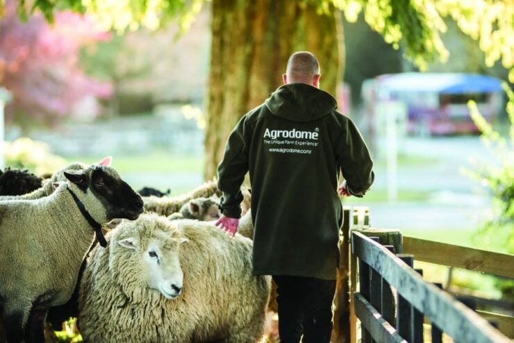 Rotorua: Agrodome Farm Tour With Show and Produce Tasting - Experience Highlights
