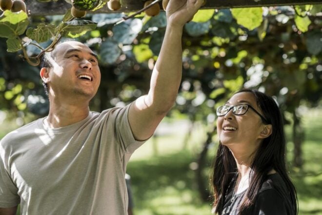 Rotorua: Agrodome Farm Tour With Show and Produce Tasting - Onsite Facilities and Amenities