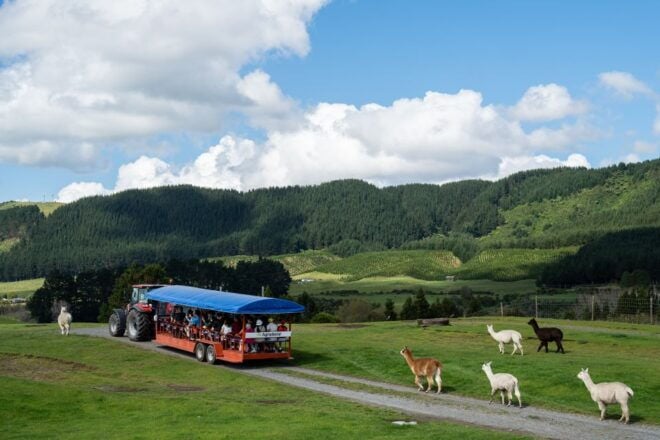 Rotorua: Agrodome Farm Tour With Show and Produce Tasting - Other Recommended Experiences