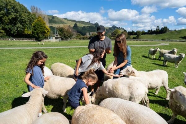 Rotorua: Agrodome Farm Tour With Show and Produce Tasting - Customer Reviews