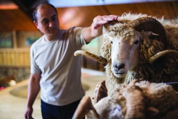 Rotorua: Agrodome Farm Tour With Show and Produce Tasting - Common Questions