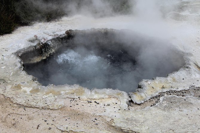Rotorua and Waitomo Caves Day Trip From Auckland -Smaller Groups - Directions