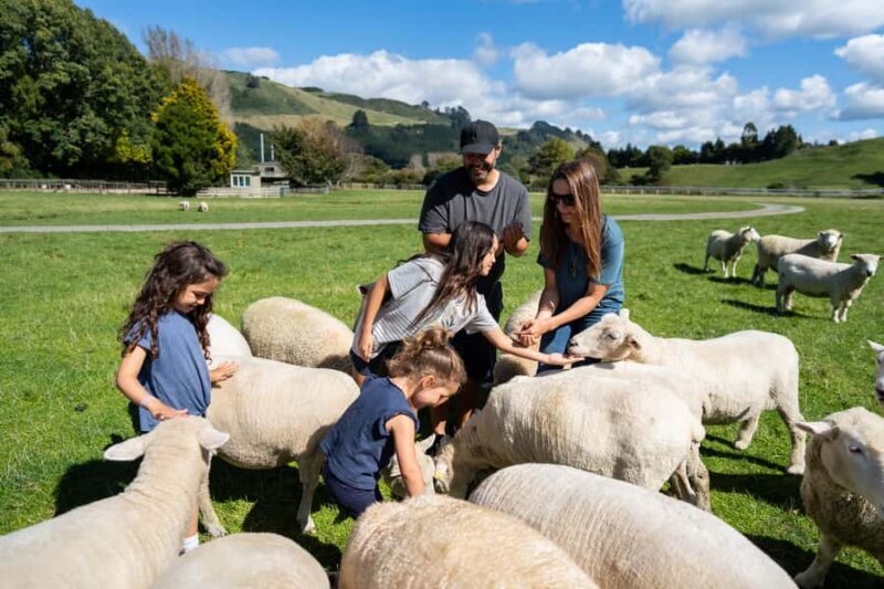 Rotorua: Authentic Kiwi Farm Experience at the Agrodome - Review Insights & Authentic Experiences
