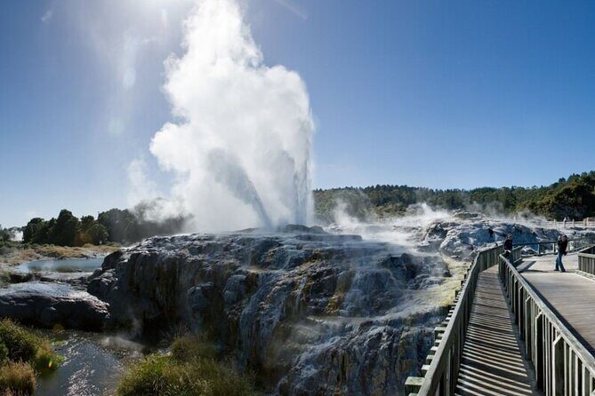 Rotorua Day Trip from Auckland TePuia_Hot Pool-Tub_Redwood Forest - FAQ