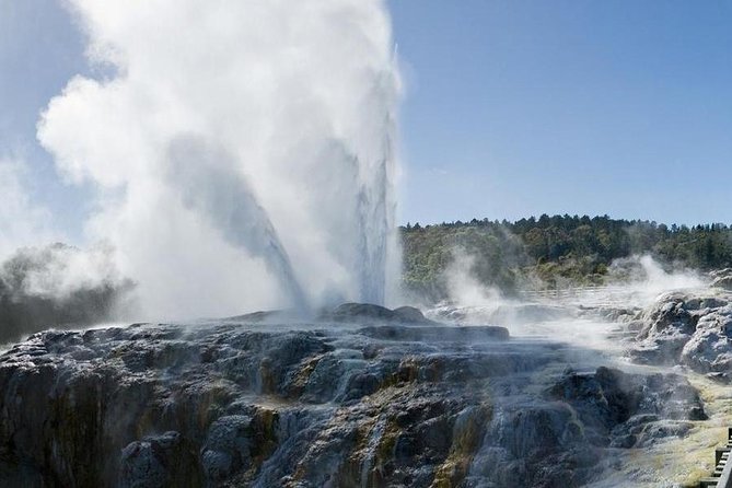 Rotorua Day Trip From Auckland With Options - Smaller Groups - Pricing and Booking Information