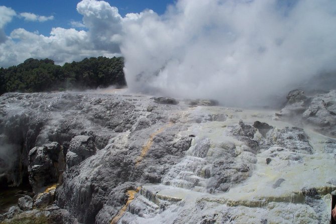 Rotorua Day Trip From Auckland With Options - Smaller Groups - Small Group Travel Experience