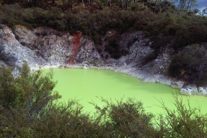Rotorua Day Trip From Auckland With Options - Smaller Groups - Suggestions for Improvement