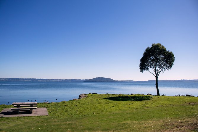 Rotorua Duck Boat Guided City and Lakes Tour - End Point and Booking Issues