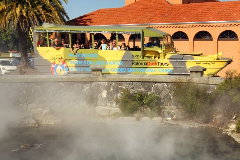 Rotorua Duck City and Lakes Tour - The moment the duck enters the water