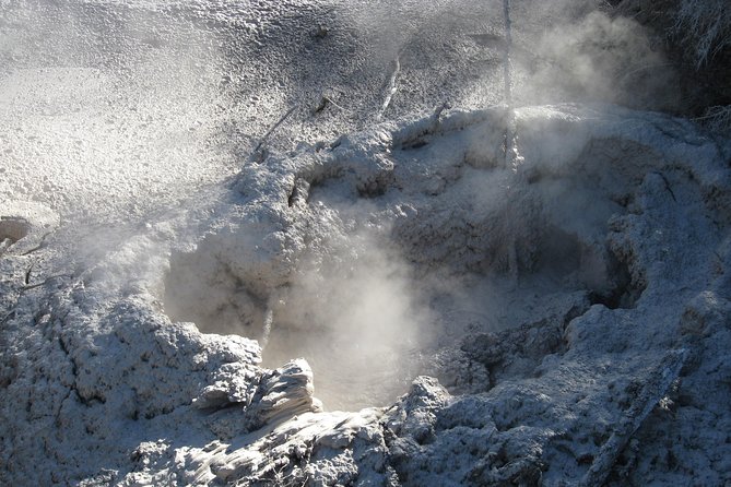 Rotorua Eco Cultural Full Day Tour (Wai O Tapu, Waimangu,Te Puia) - The Sum Up