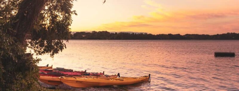 Rotorua: Evening Starlight Gourmet Kayak Tour with dinner - Good To Know  
