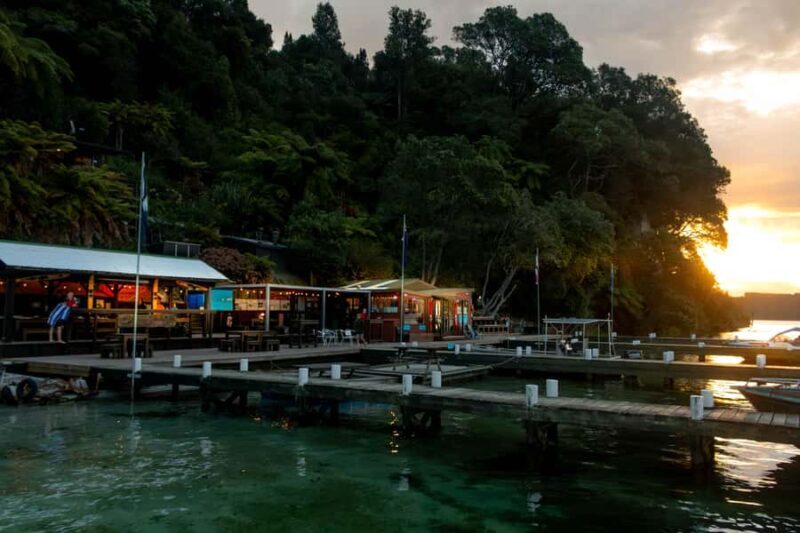 Rotorua: Evening Starlight Gourmet Kayak Tour with dinner - An In-Depth Look at the Experience