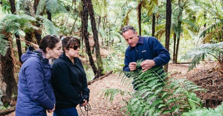 Rotorua: Explore The Lakes Half-Day Morning Tour - Live English Commentary Provided