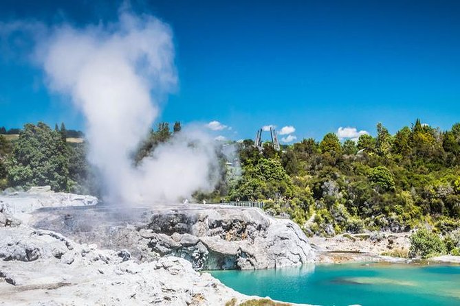 Rotorua Full Day Private Tour From Auckland - Return to Auckland