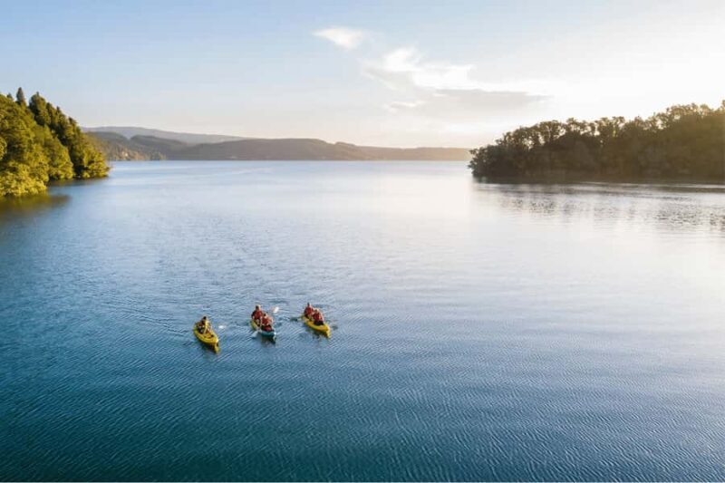 Rotorua: Glow Worm Adventure Kayak - Why This Tour Is Worth Considering