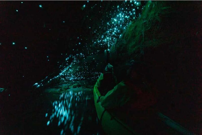 Rotorua: Glow Worm Adventure Kayak - FAQs