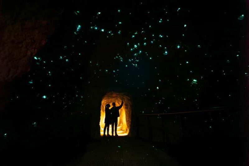 Rotorua: Glowworm Cave, Redwoods Forest & Te Puia Tour - Good To Know
