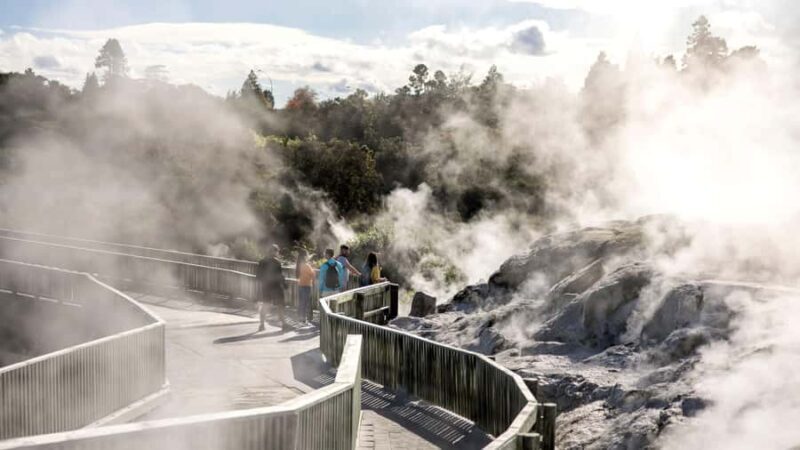 Rotorua: Glowworm Cave, Redwoods Forest & Te Puia Tour - Exploring the Itinerary in Depth