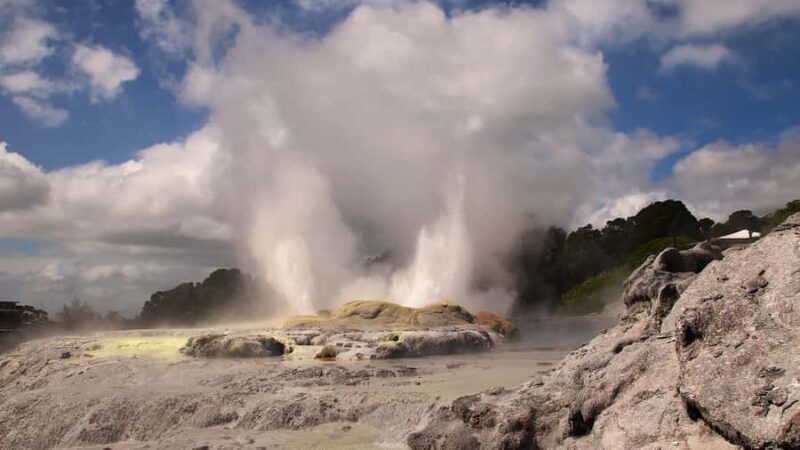 Rotorua: Glowworm Cave, Redwoods Forest & Te Puia Tour - Who Will Love This Tour?