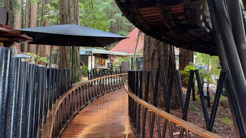 Rotorua: Glowworm Cave, Redwoods Forest & Te Puia Tour - Final Thoughts