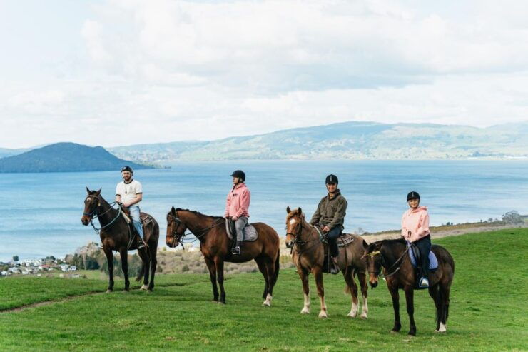 Rotorua: Guided Horseback Riding Day Trip on Mt. Ngongotaha - Experience Highlights