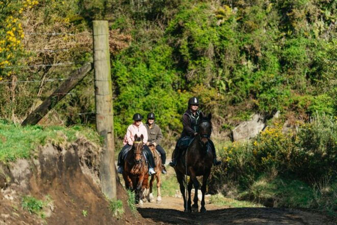 Rotorua: Guided Horseback Riding Day Trip on Mt. Ngongotaha - Inclusions