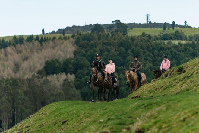 Rotorua: Guided Horseback Riding Day Trip on Mt. Ngongotaha - Restrictions