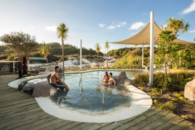Rotorua: Hell's Gate Geothermal Walk, Mud Bath & Sulphur Spa - Guided Tours and Information