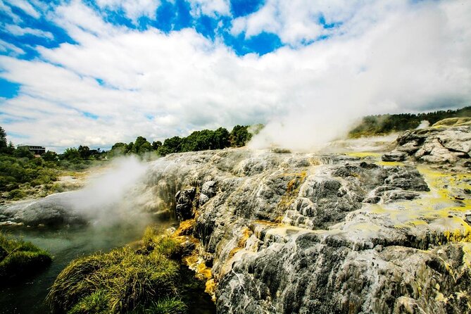 Rotorua Highlights Small Group Tour Including Te Puia From Auckland - Maori Cultural Landmarks and Geothermal Spots