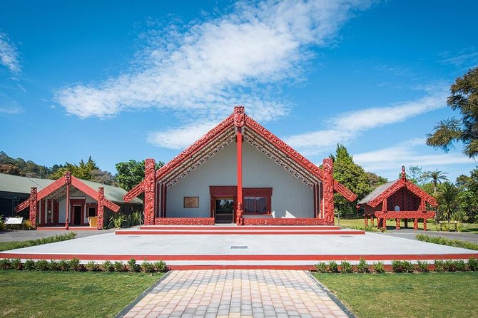 Rotorua Highlights Small Group Tour Including Te Puia From Auckland - Tour Highlights and Feedback From Travelers