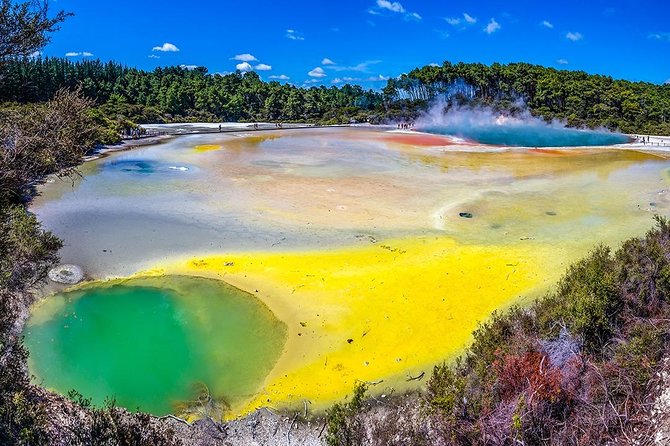 Rotorua Highlights Small Group Tour Including Wai-O-Tapu From Auckland - The Sum Up