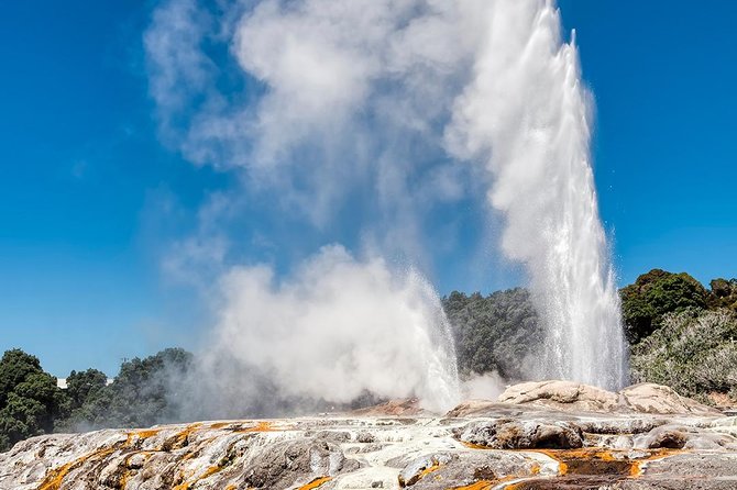 Rotorua Highlights Small Group Tour With Optional Extra Activities From Auckland - Booking and Availability