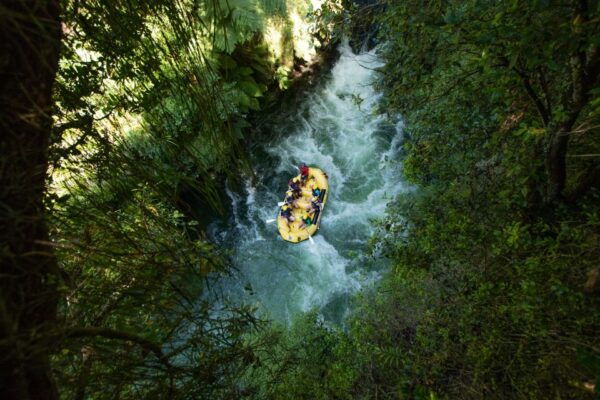 Rotorua: Kaituna River Rafting Experience - The Sum Up