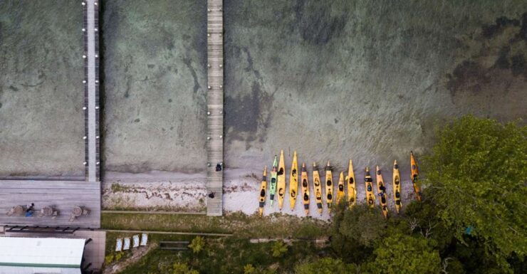 Rotorua: Lake Rotoiti Glow Worm Kayak Tour & Hot Pools - Multilingual Live Tour Guides Available