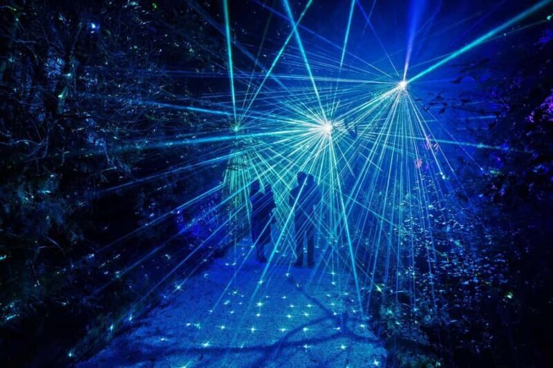 Rotorua: Marama Geyser Light Trail & Geothermal Experience - The Sum Up