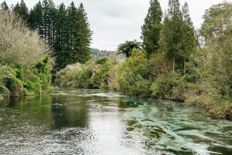 Rotorua: 'Off The Beaten Track' Geothermal Day Tour - Hidden Gems: Lesser-Known Geothermal Sites
