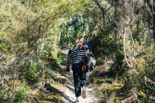 Rotorua: 'Off The Beaten Track' Geothermal Day Tour - Unforgettable Views: Panoramic Geothermal Lookouts