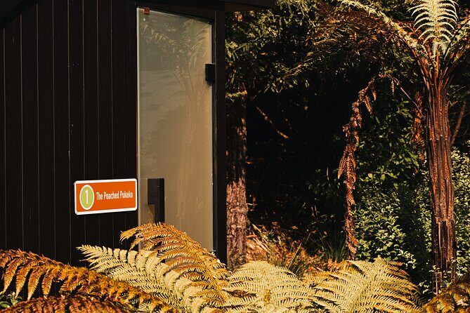 Rotorua Private Sauna Experience - Frequently Asked Questions