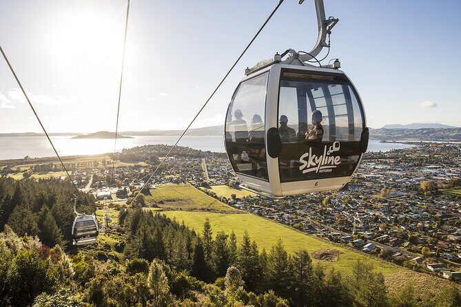 Rotorua Private Tour from Tauranga (up to 11 people) - Good To Know