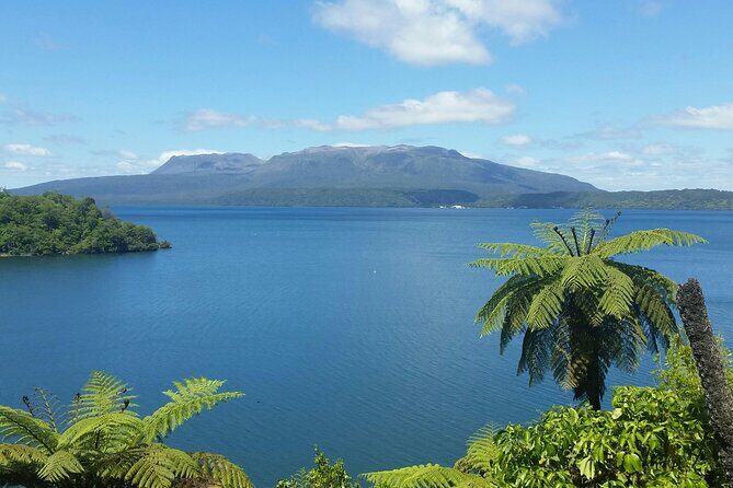 Rotorua Private Tour from Tauranga (up to 11 people) - Who Will Love This Tour?