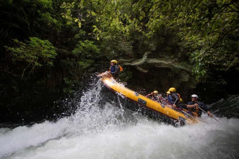 Rotorua Rafting: Kaituna River Rafting Experience-Free Sauna - Who Is This Tour Best For?  