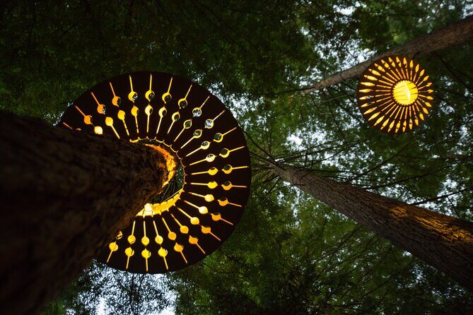 Rotorua: Redwoods Adventure 3-Hours - Detailed Itinerary Breakdown