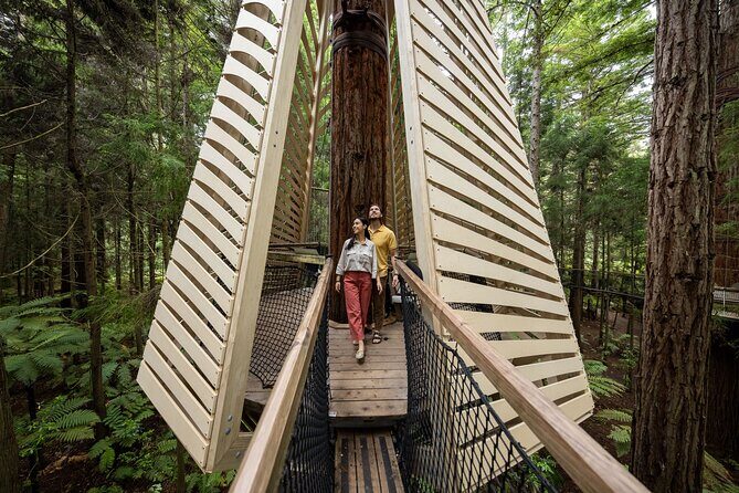 Rotorua: Redwoods Adventure 3-Hours - Authentic Experiences from Visitors