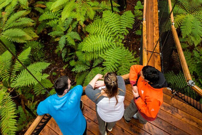 Rotorua: Redwoods Adventure 3-Hours - Frequently Asked Questions