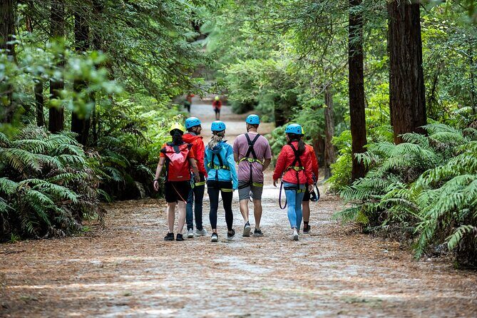 Rotorua: Redwoods Altitude High Ropes Adventure - Rotorua: Redwoods Altitude High Ropes Adventure – An Adventurous Escape Among the Redwoods